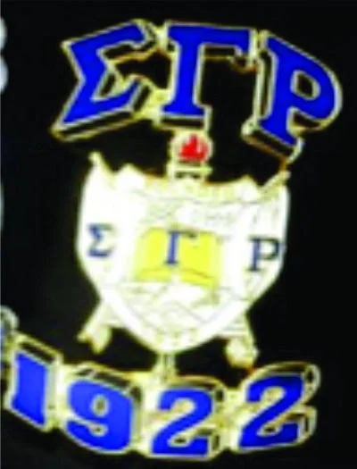 SGRho 3-D Pin